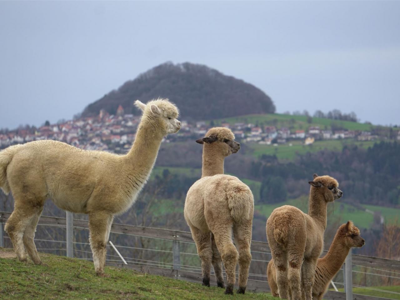 Diese Aussicht können wir jeden Morgen genießen