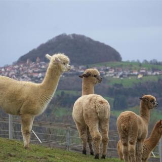 Diese Aussicht können wir jeden Morgen genießen