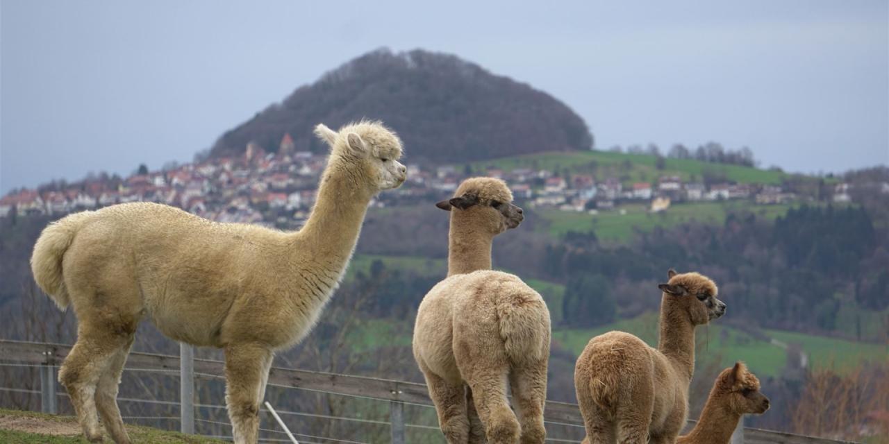 Diese Aussicht können wir jeden Morgen genießen