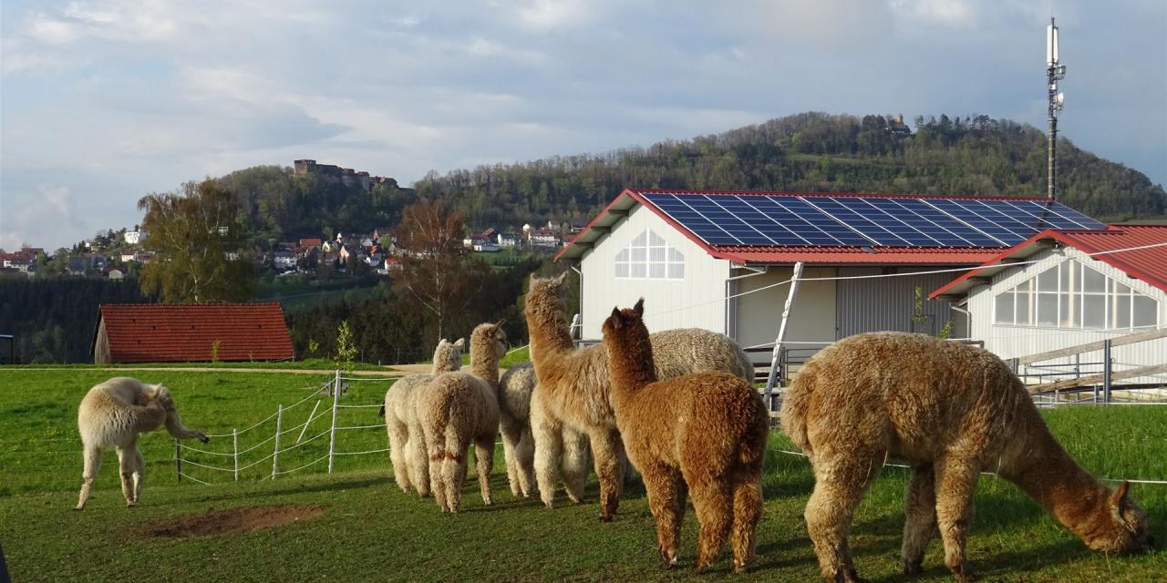Blick auf unsere neue Heimat