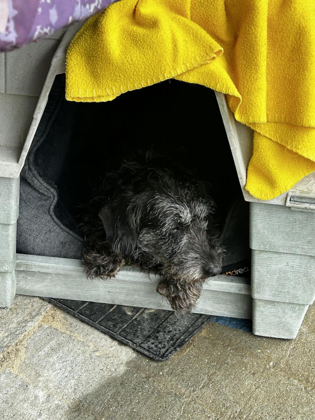 auf dem bild liegt unser Max in seiner Hütte