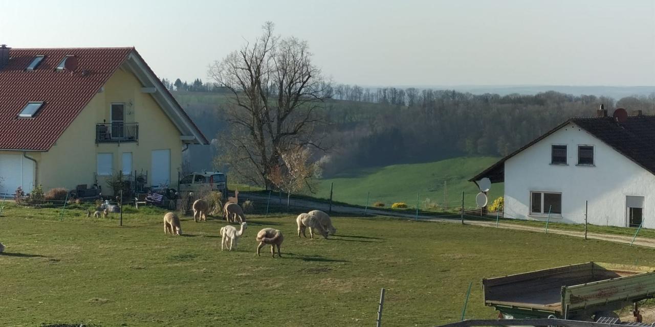 Die Hanik-Ranch im Panorama